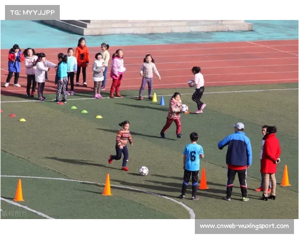 “综合格斗入选多地学校体育课程,青少年基础训练体系逐步完善”